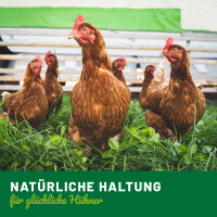 "Nestomatic" Automatisches Legenest für Hühner