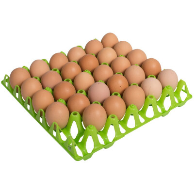 Eierhorde für 30 Hühnereier