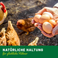 Eierhorde für 30 Hühnereier